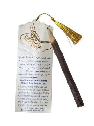 قلم شجرة طرفاء المدينة المنورة