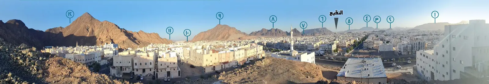 النَّقِيع