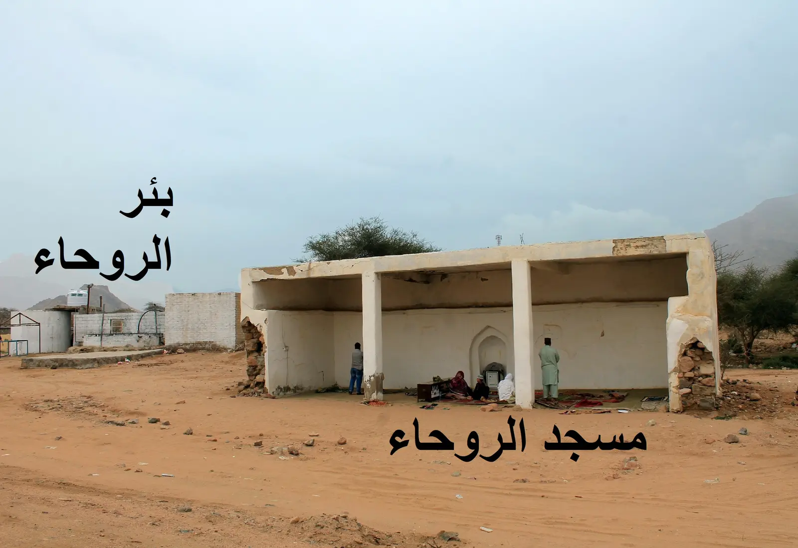 مسجد وبئر الروحاء