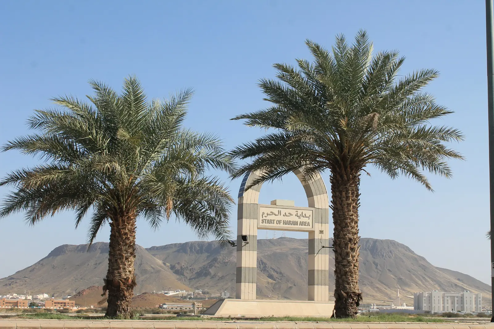 البَيْداء