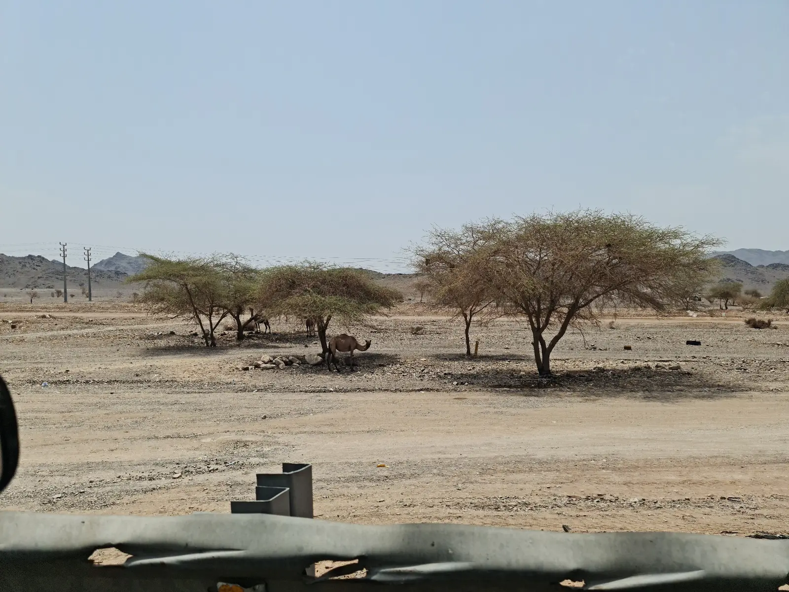 وادي تُرْبان
