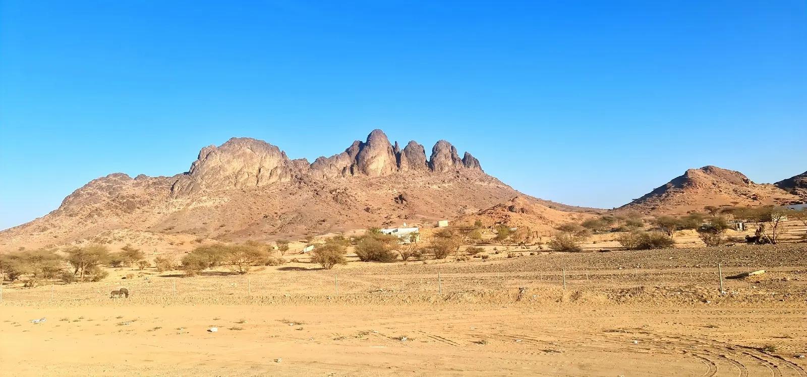 صخيرات اليمام