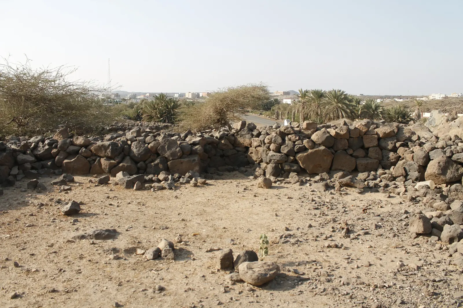 بِركُ الغِماد