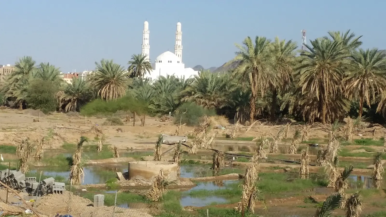ساحة غزوة بدر
