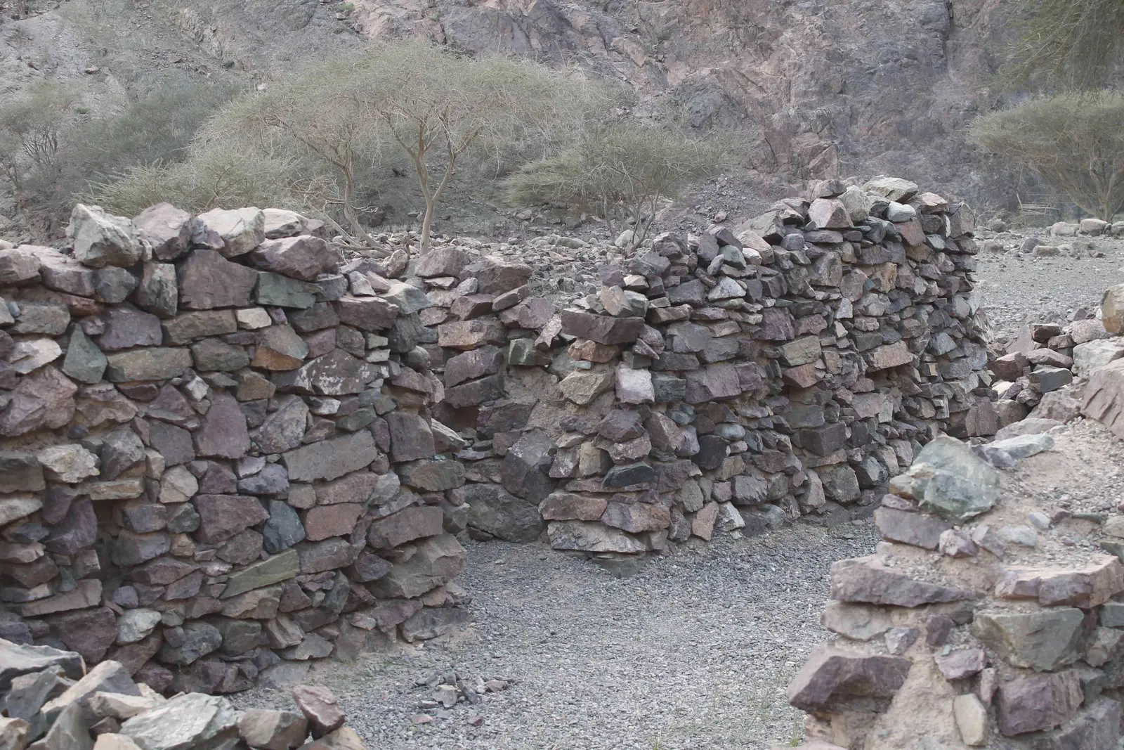 مسجد البرود