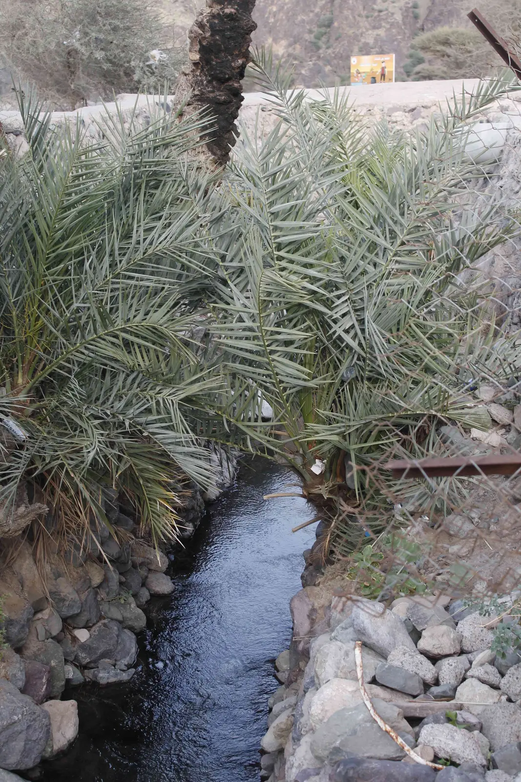 وادي الفُرع