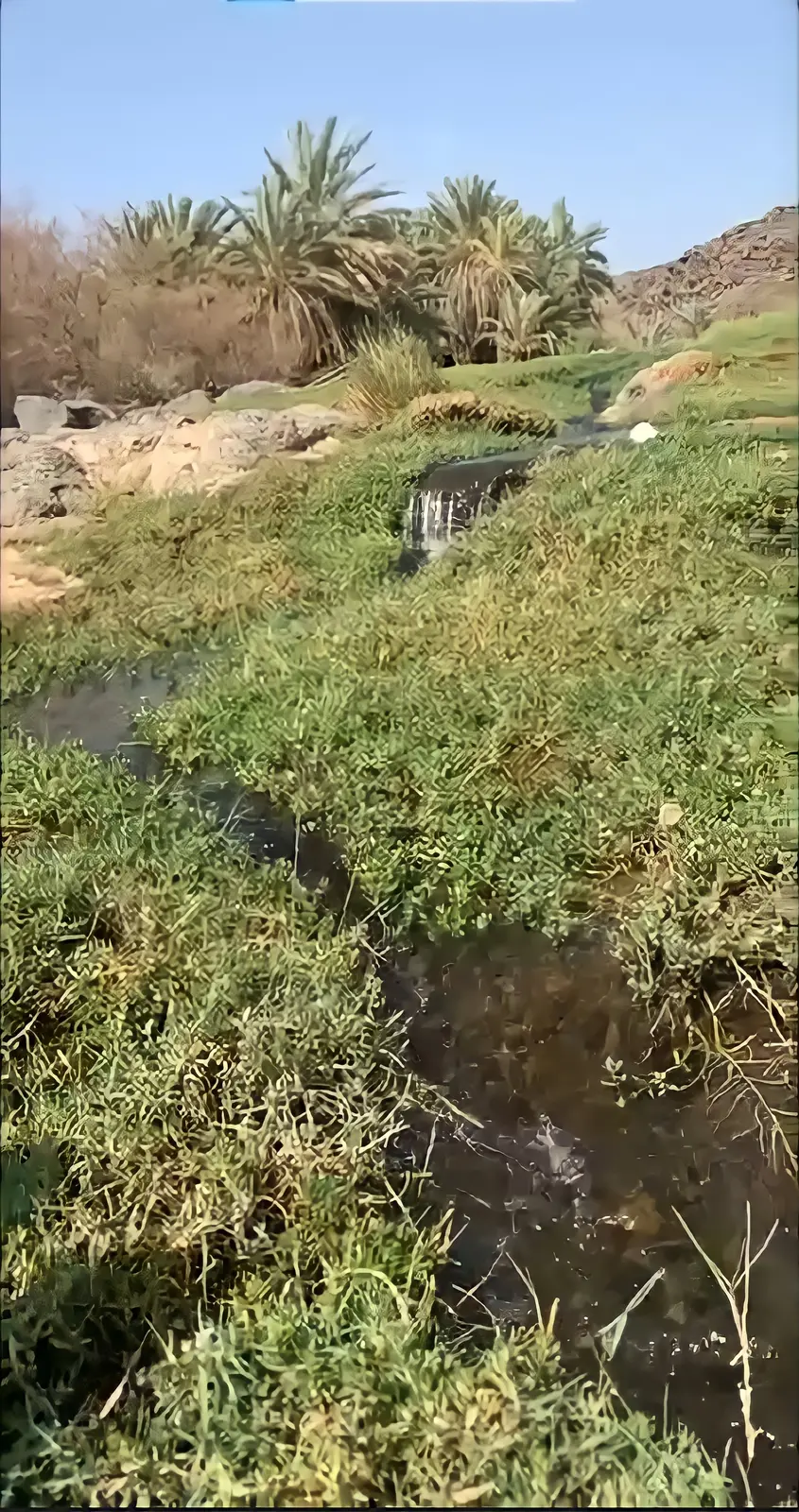 وادي خَضِرة