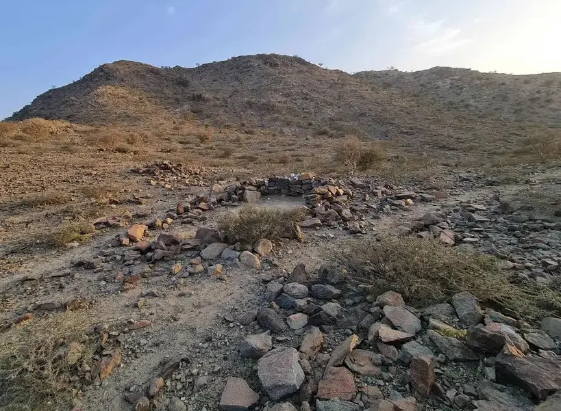 وادي نخلة