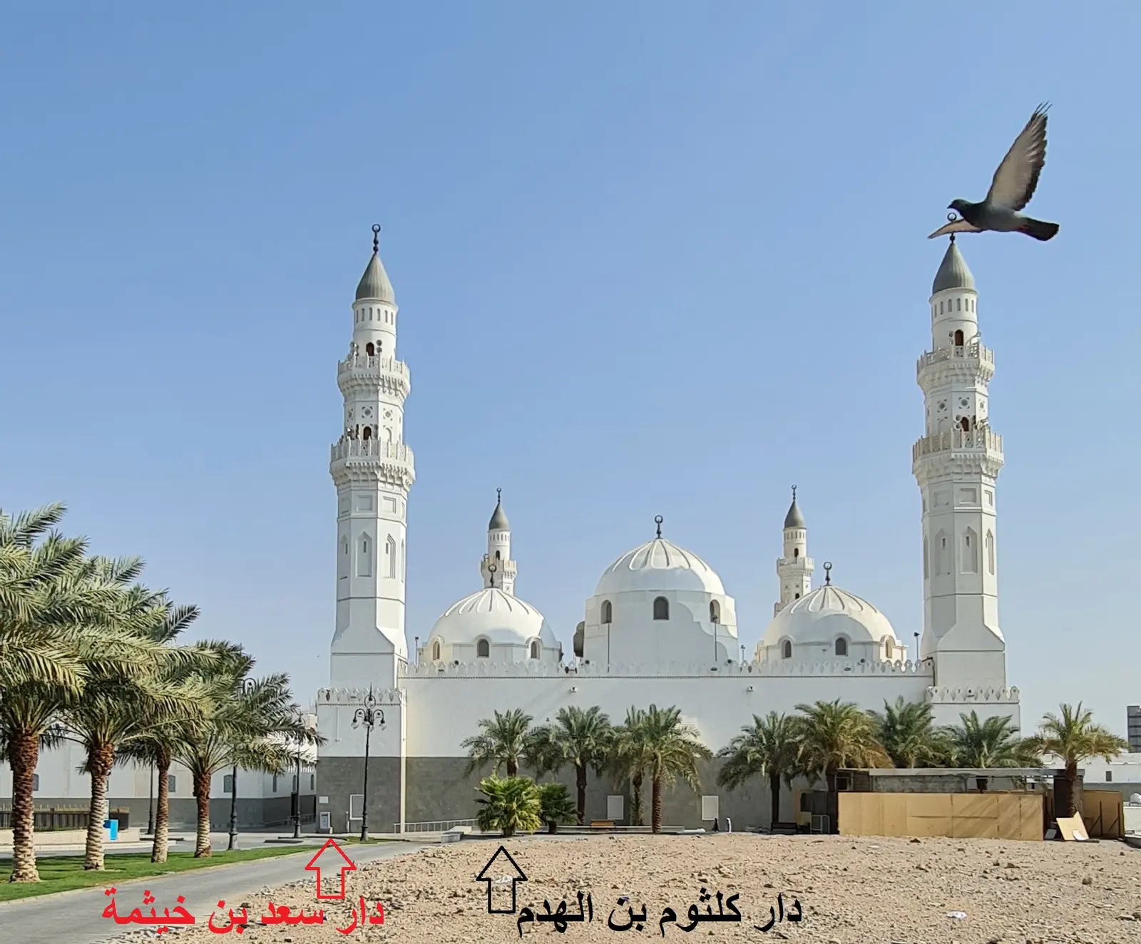دار كلثوم بن الهدم