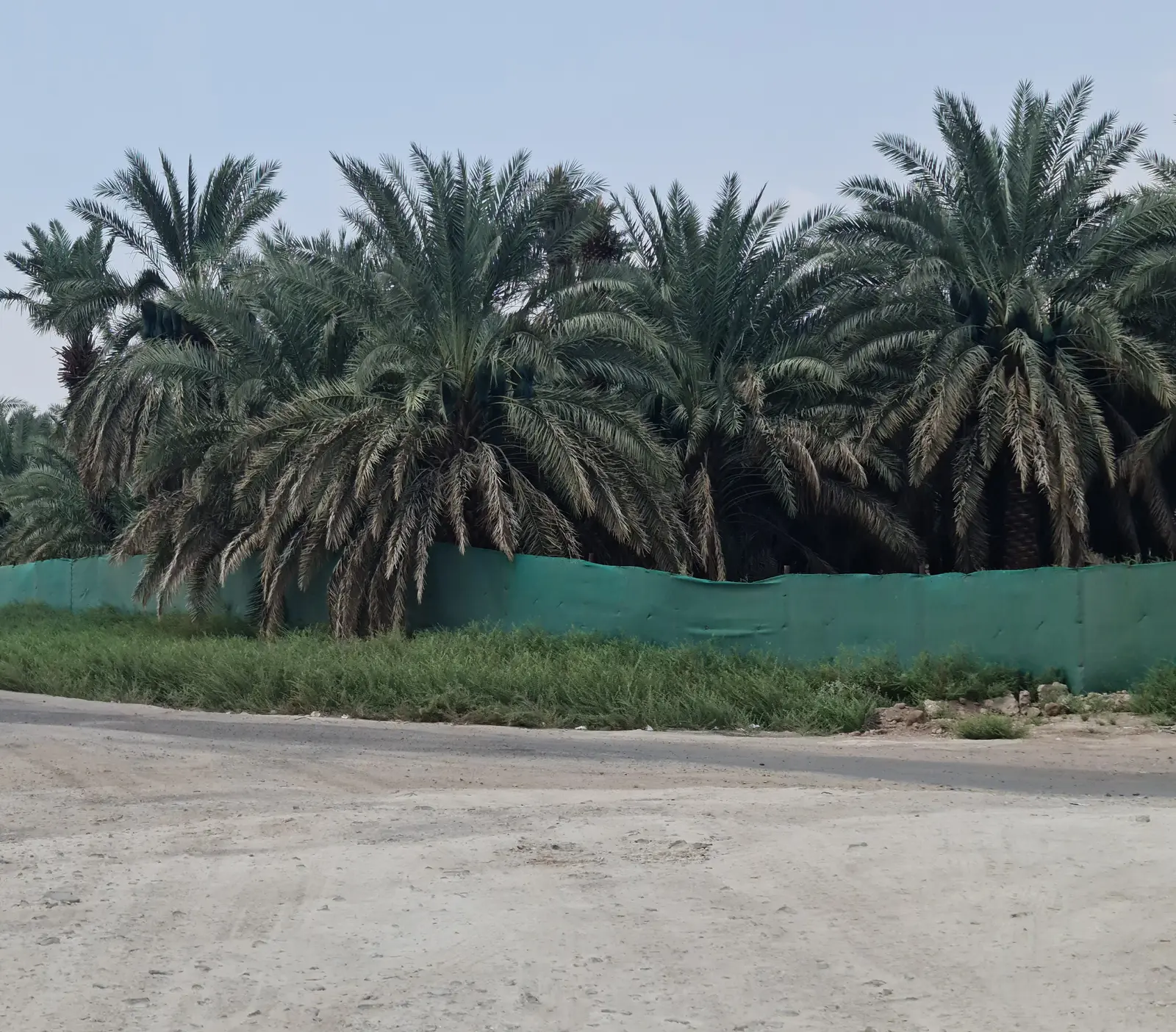 وادي بُطْحان